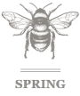 Spring Adventures